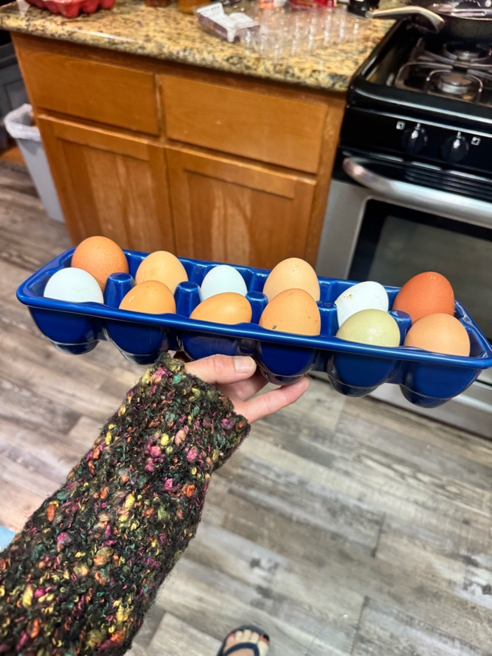 DARK NAVY BLUE CERAMIC EGG HOLDER BY DANNY SEO IT HOLDS ONE DOZEN EGGS NEW